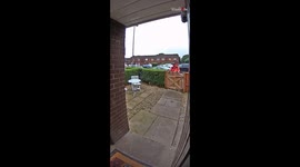 Hilarious footage of postman fleeing from angry dogs caught on doorbell camera