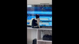 Cat watches trampolining during Paris Olympics 2024