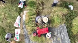 El Salvadoran ambassador hails China's people-centered approach on path toward modernization