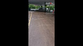 Adorable video of carefree geese setting 'chilling goals'