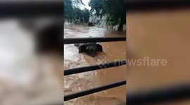 Elephant bathing in floodwater at Army Cantonment in northeastern India amidst heavy rainfall