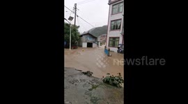 China: A Pig in Flood was Rescued