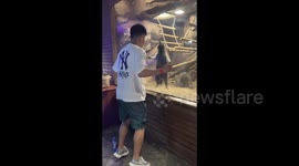 China: A man and a raccoon danced in sync on either side of the glass
