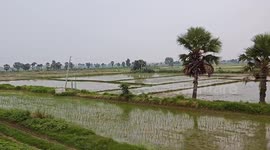 Indian land scape view by running train in Northern India