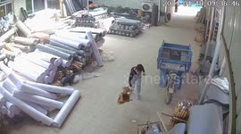 Chinese woman scuffles with aggressive rooster