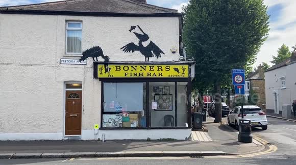 Another new Banksy artwork, a pair of pelicans, appears in London