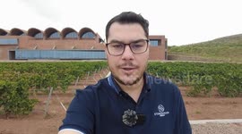 Argentine winemaker aims high in China's wine industry