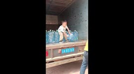 Toddler unloads barrels of water from truck to help father