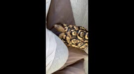 Must be sleep time again