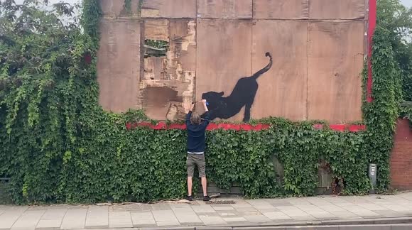 A man is busted as he tries to take down latest Banksy artwork