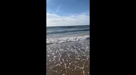 Wijk aan Zee august 2024, Nederland, goed weer, zwakke wind, warm water, zeegeuren van vis,  windmolens zijn zichtbaar in de verte,  de afstand naar Engeland is 60 km, soms liggen hier zeehonden op het strand