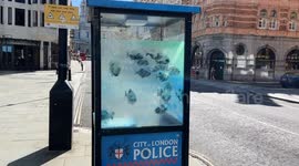 Suspected new Banksy appears on a police sentry box in City Of London