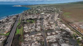 USA: Maui residents still dependent on donations one year after deadly wildfires