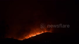 Flames from forest fire illuminates night sky in Athens suburbs