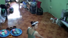 Pet cat kicks owner in the face