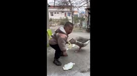Young boy's feeding session with geese turns chaotic in China