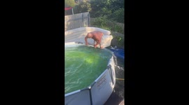 DO NOT TRY this pool draining method if your yard is connected to neighbor's house