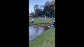 Dog Plays Keep-Away at the Park
