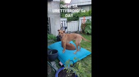 She got a treat. I didn't. So unfair!