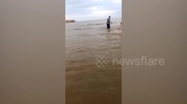 Villagers rescue dugong stuck on beach in southern Thailand