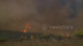 Greece: Forest fires near Athens leave hundreds evacuated