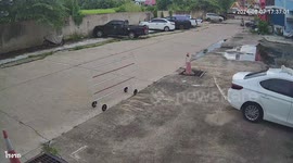 Car pulls away with cat stowaway sitting on roof