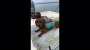temp
