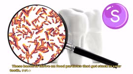 7 Easy Ways To Get Rid Of Your Bad Breath - Tips To Get Rid Of Bad Breath Quickly And Effectively