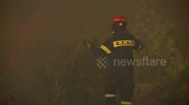 Climate alarms raised as extreme heat waves sweep globe