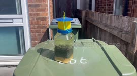 Residents left 'trapped' in homes after swarms of flies invade village