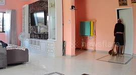 Snake slithers across floor as pensioner cleans house