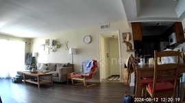 Earthquake Spooks Cat