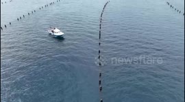 UK: Historic Map Reveals Revival of Shellfish Reefs Off England's South Coast