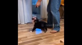 You gotta wait for it, trust me, it’s worth it. Just a boy and his puppy.