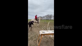 The speed of this horse was tested by two peasants