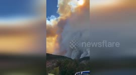 Turkey: Firefighters Battle Forest Fire in Goynük to Protect Green Homeland