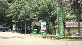 African scholars call for shift to realize green revolution