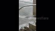 temp