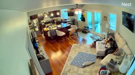 Case of the Missing Diaper