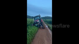 China: Cavalry Stuck in the Mud