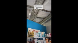 Cat's gender reveal sparks chaos causing escapade through vet clinic ceiling