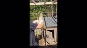temp