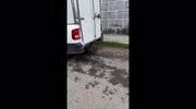 temp