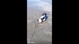 Major rolling in the sand