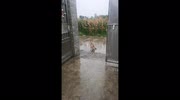 temp