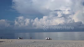 Dolphins At Beach in Naples