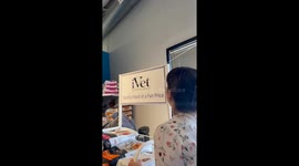 Cat's gender reveal sparks chaos causing escapade through vet clinic ceiling