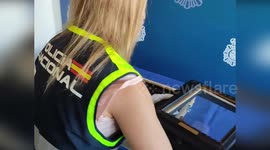 Police seize fake Leonardo da Vinci painting in Spain