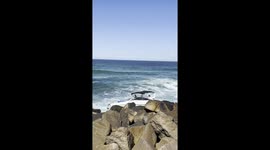 Surfers Work With Fire Department To Rescue Wrecked Speedboat