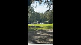 Questionable Florida Activities